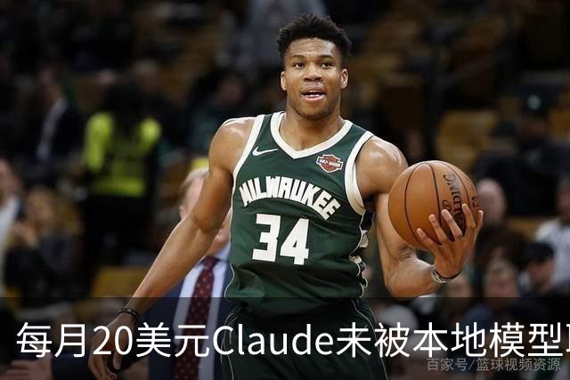 每月20美元Claude未被本地模型取代，被取代的是不敢上云的事