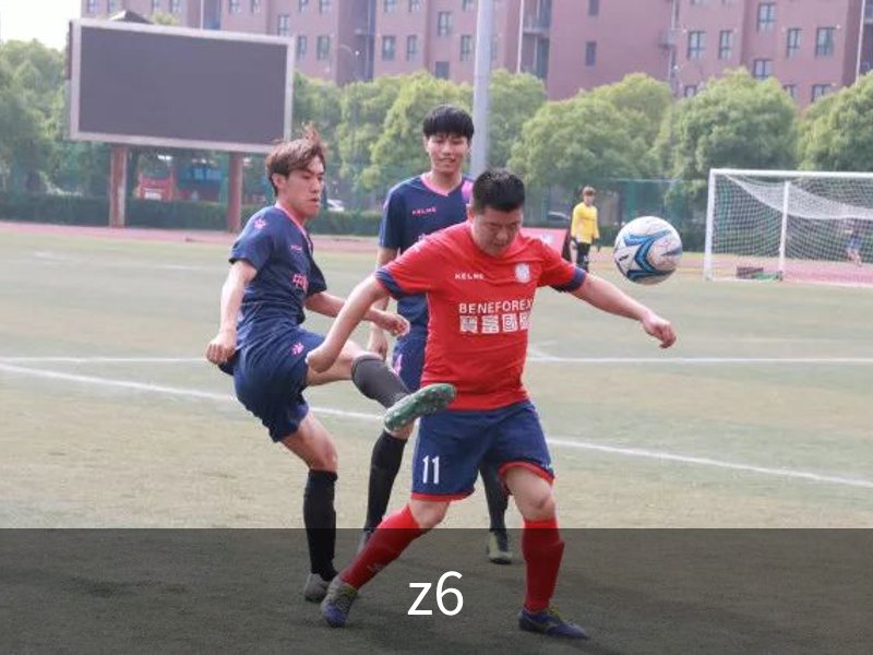 走进z6
